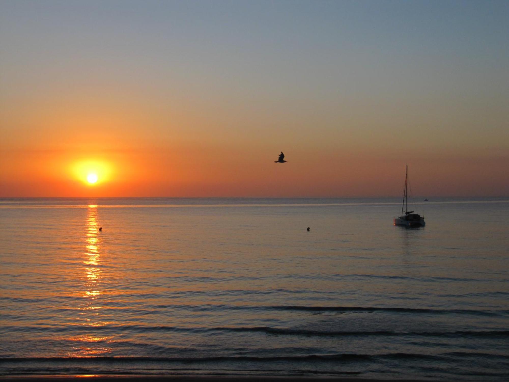 Excepcional Apartamento Loft A Pie De Playa En Chalet Roquetes 阿利坎特 外观 照片